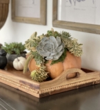 Easy Succulent Pumpkin Centerpiece Tutorial